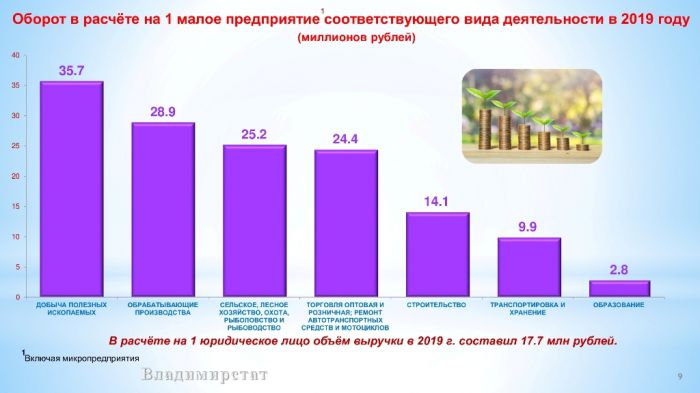 Основные итоги работы субъектов малого предпринимательства Владимирской области за 2019 год